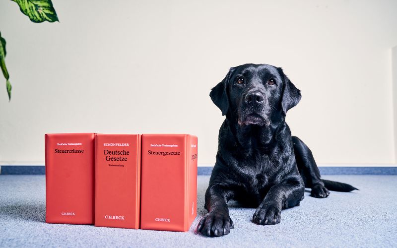 Gesetzbücher und Hund